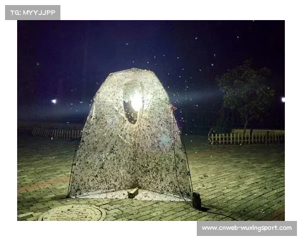 十五运会网球赛夜间现飞蛾干扰，官方澄清系趋光性昆虫非蟑螂